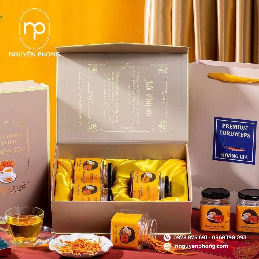 Mẫu in hộp đông trùng hạ thảo sang trọng